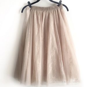 Francesca's Lace & Tulle Beautiful Skirt
